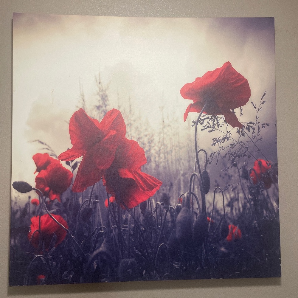 Large framed canvas ( LARGE )